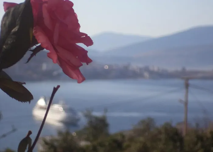 Appartamento Mariana *