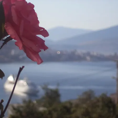 Appartement Mariana *